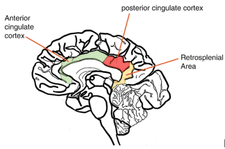 Screenshot 2025-04-05 at 5.17.17 PM.png