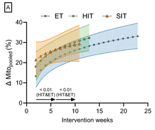 Screenshot 2025-03-29 at 6.34.35 PM.png