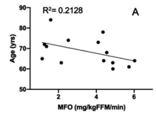 Screenshot 2025-02-27 at 7.36.45 PM.png