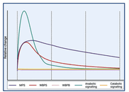 Screen Shot 2023-12-31 at 6.33.04 PM.png