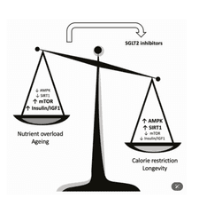 Screenshot 2025-04-26 at 6.26.35 PM.png