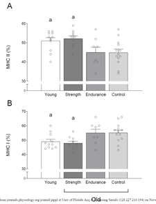 Screen Shot 2024-02-23 at 2.19.37 PM.png