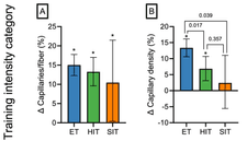 Screenshot 2025-03-29 at 7.18.01 PM.png