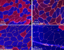 Screen Shot 2024-02-23 at 3.23.46 PM.png