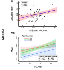 Screenshot 2024-10-26 at 10.28.30 AM.png