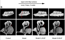 Screenshot 2024-10-12 at 4.33.16 PM.png