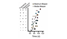 Screenshot 2025-07-19 at 4.51.11 PM.png