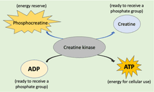 Screenshot 2025-07-31 at 3.08.07 PM.png