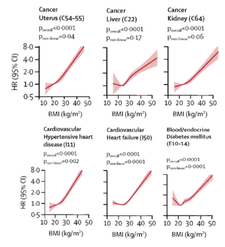 Screenshot 2025-03-21 at 4.49.09 PM.png