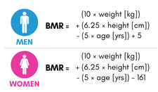 Screenshot 2025-02-27 at 7.01.24 PM.png