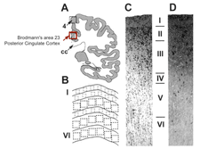 Screenshot 2025-04-05 at 5.21.24 PM.png