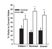 Screenshot 2025-05-03 at 4.43.42 PM.png